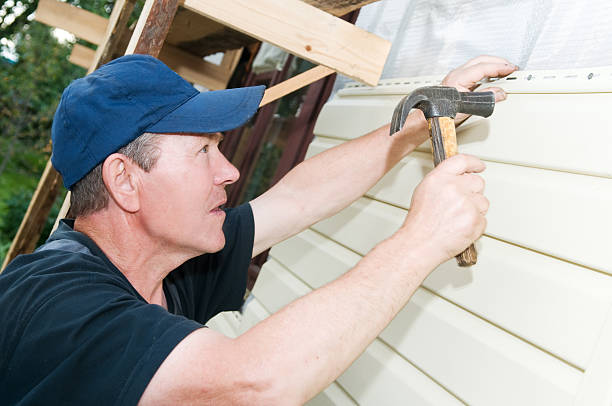 Best Custom Siding Design  in Round Lake Beach, IL